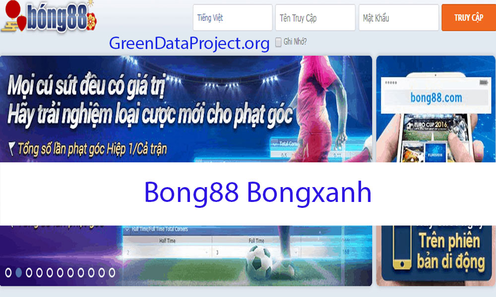 Trang-tin-tức-cá-cược-Bong88-Bongxanh